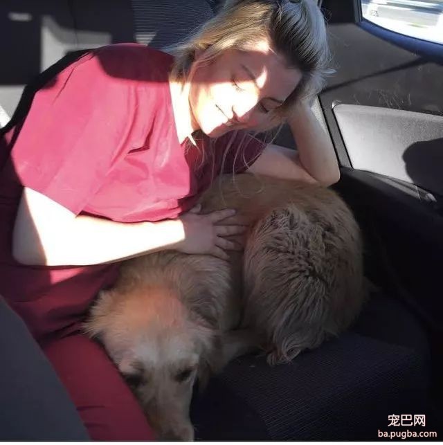 给了流浪金毛一块面包竟不舍得吃：我可能是我一周的食物……-4.jpeg