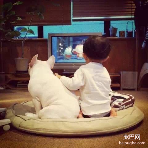 一位妈妈为宝宝和狗狗拍摄的温暖写真-3.jpeg