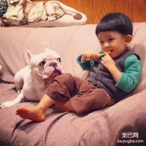 一位妈妈为宝宝和狗狗拍摄的温暖写真-7.jpeg