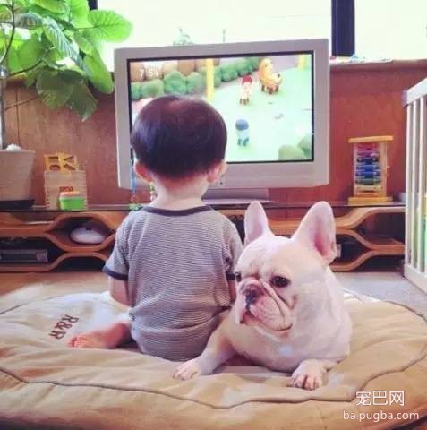 一位妈妈为宝宝和狗狗拍摄的温暖写真-5.jpeg