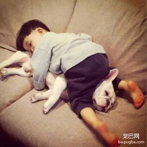 一位妈妈为宝宝和狗狗拍摄的温暖写真-12.jpeg