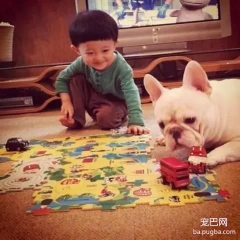 一位妈妈为宝宝和狗狗拍摄的温暖写真-9.jpeg