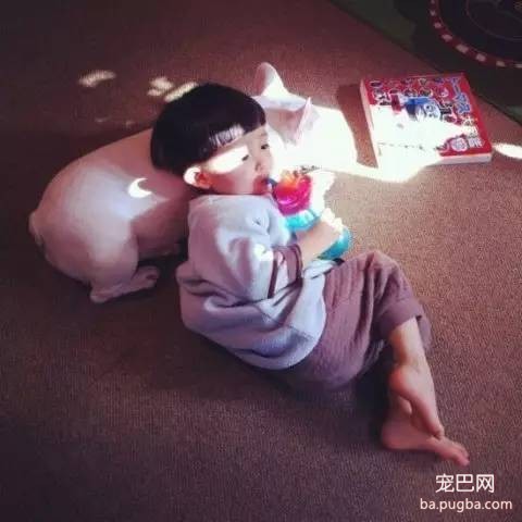 一位妈妈为宝宝和狗狗拍摄的温暖写真-14.jpeg