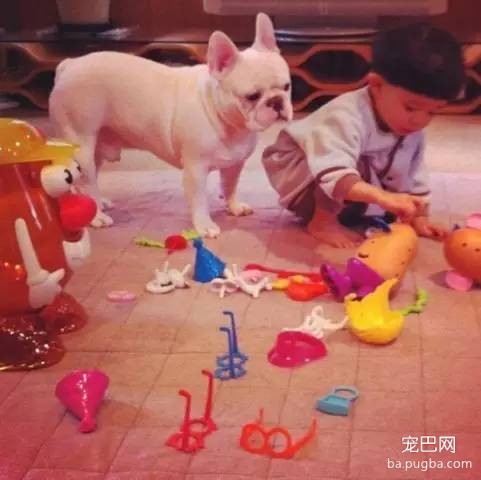 一位妈妈为宝宝和狗狗拍摄的温暖写真-16.jpeg