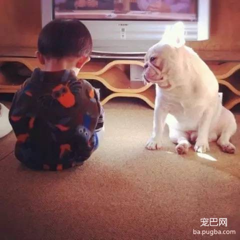 一位妈妈为宝宝和狗狗拍摄的温暖写真-17.jpeg