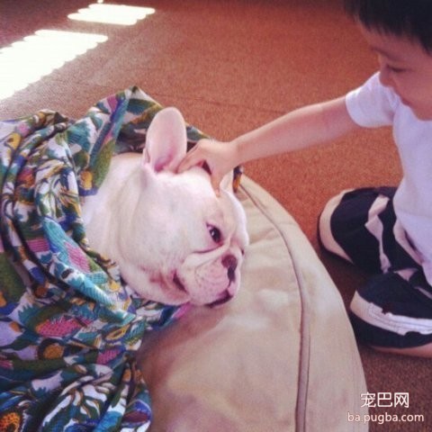 一位妈妈为宝宝和狗狗拍摄的温暖写真-18.jpeg