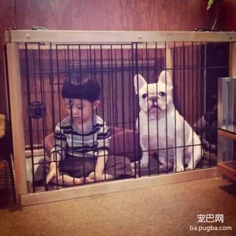 一位妈妈为宝宝和狗狗拍摄的温暖写真-19.jpeg