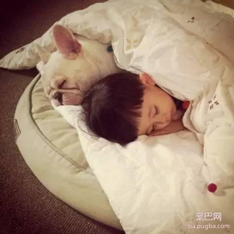 一位妈妈为宝宝和狗狗拍摄的温暖写真-22.jpeg
