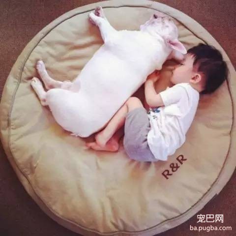 一位妈妈为宝宝和狗狗拍摄的温暖写真-23.jpeg