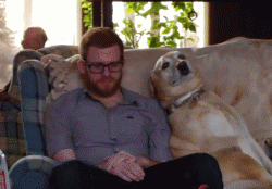 狗狗这么撒娇，你受得了吗？-14.gif