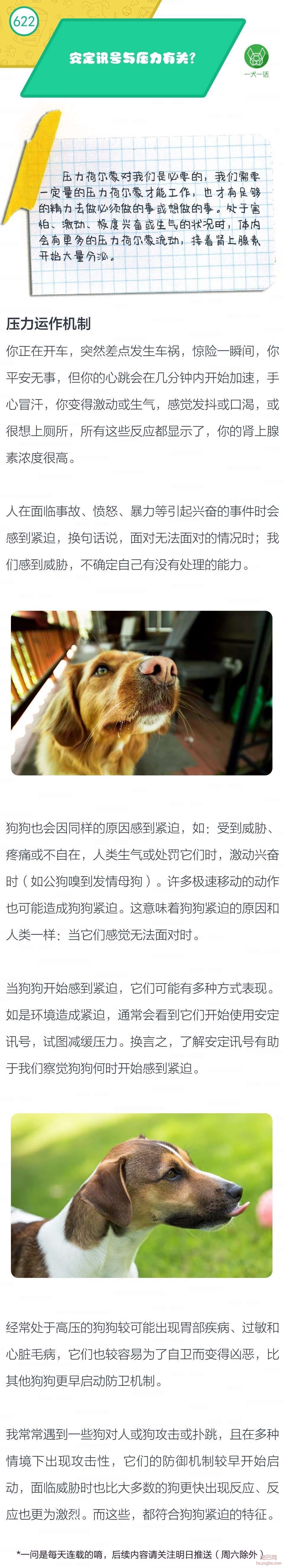 安定讯号与压力有关？-1.jpeg