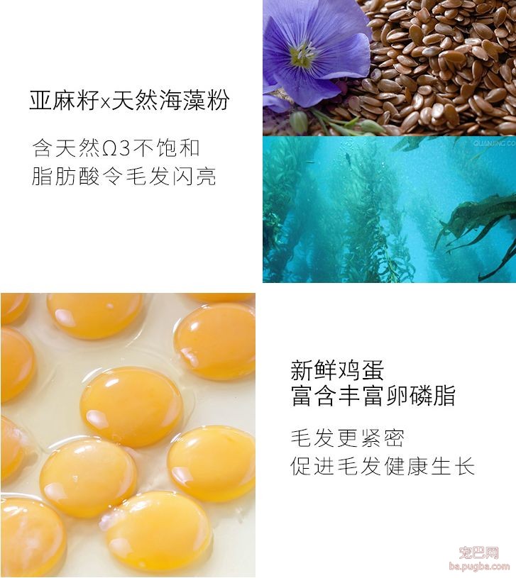 阿拉斯加惨遭主人抛弃，再次被收养后竟....！-8.jpeg