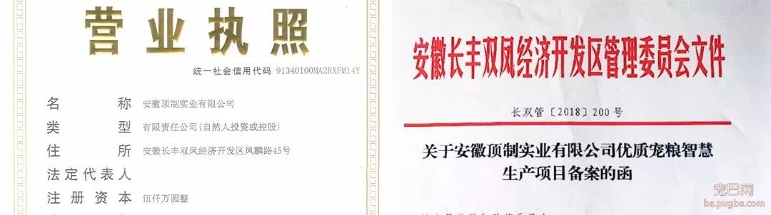 阿拉斯加惨遭主人抛弃，再次被收养后竟....！-16.jpeg
