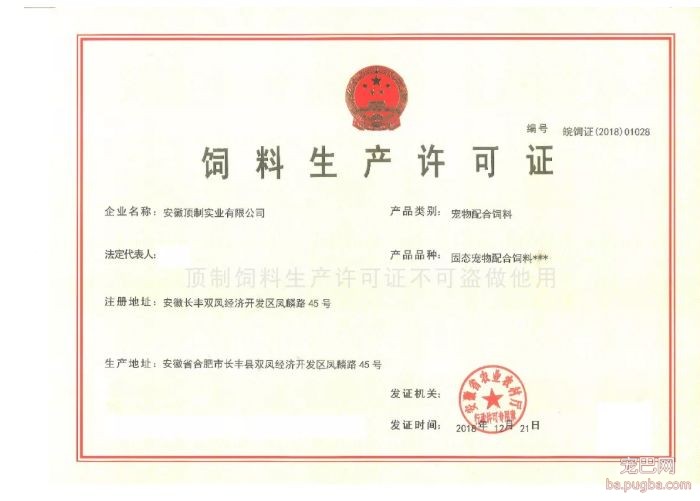阿拉斯加惨遭主人抛弃，再次被收养后竟....！-17.jpeg