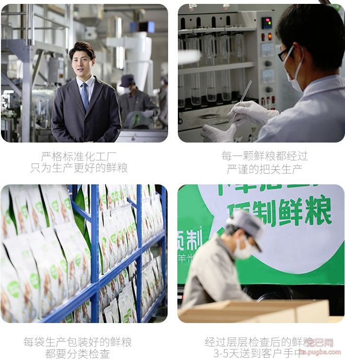 阿拉斯加惨遭主人抛弃，再次被收养后竟....！-18.jpeg
