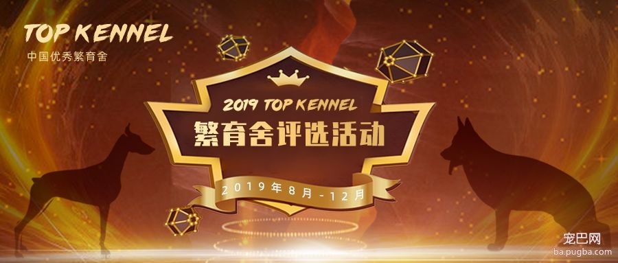 重要通知：2019 Top Kennel繁育舍评选活动-1.jpeg