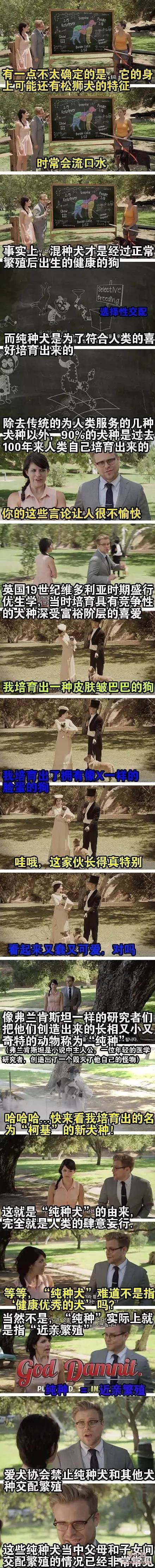 其实不管它们纯不纯种，都值得我们去爱-2.jpeg