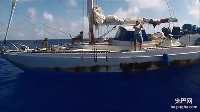 狗狗们和主人在海上漂流，5个月后才被中国渔船发现-2.jpeg