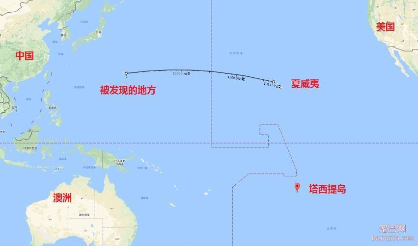 狗狗们和主人在海上漂流，5个月后才被中国渔船发现-5.jpeg