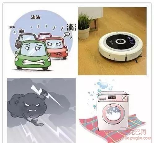狗狗社会化训练到底有多重要？如何给它们做训练？-2.jpeg