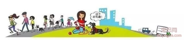 狗狗社会化训练到底有多重要？如何给它们做训练？-13.jpeg