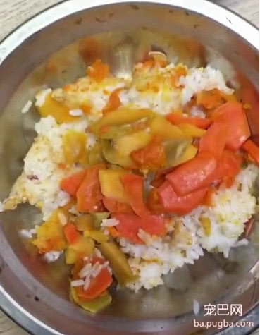主人下厨给狗狗做了顿饭，不料被嫌弃了，主人怒吼：摇头是什么意思！-2.jpeg
