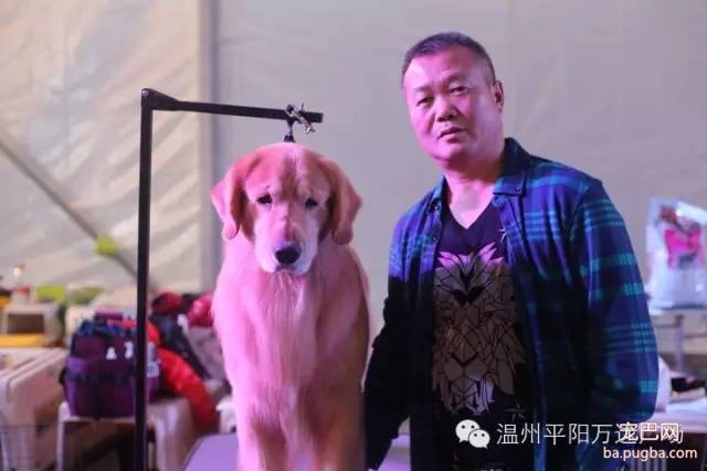 狗狗界的“维密大秀” 现场比赛靓照来了-3.jpeg