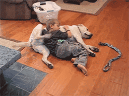 养狗和养猫的区别，我才是家里的主人-7.gif
