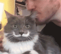 养狗和养猫的区别，我才是家里的主人-8.gif