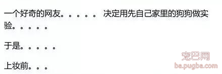 化妆后的狗狗，有没有萌到你呢？-2.png