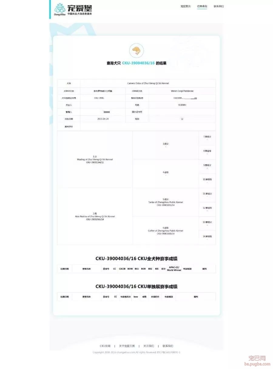 愤怒：柯基失踪后报警，已经被偷狗贼吃掉……-2.jpeg