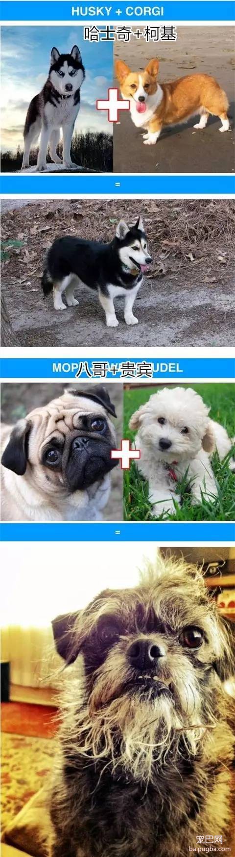 瞧瞧这些狗杂种-9.jpeg