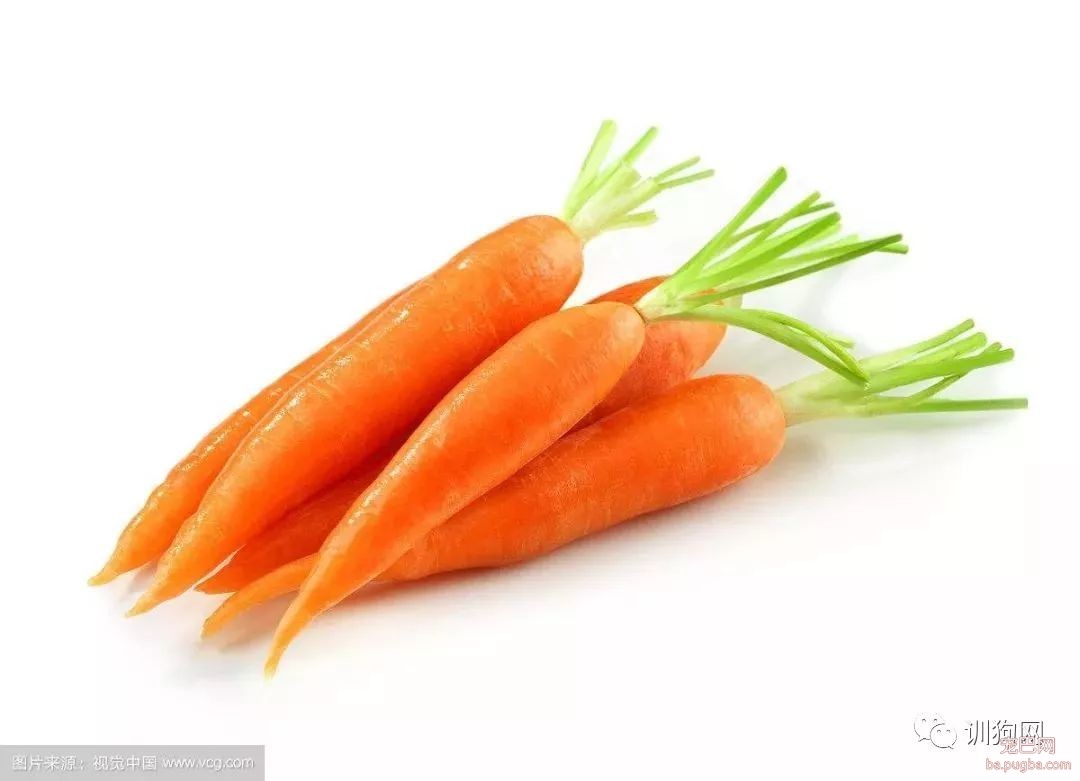 这7种蔬菜狗狗也能吃！还不点进来了解一下？-8.jpeg