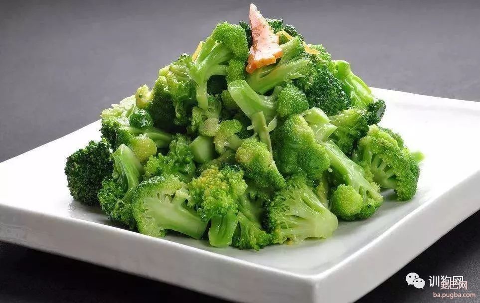 这7种蔬菜狗狗也能吃！还不点进来了解一下？-5.jpeg