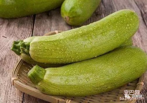 这7种蔬菜狗狗也能吃！还不点进来了解一下？-10.jpeg