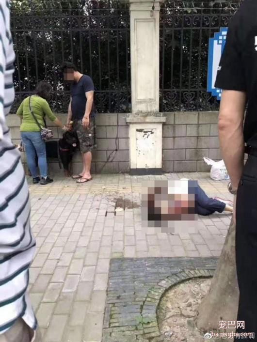 罗威纳咬人.jpeg