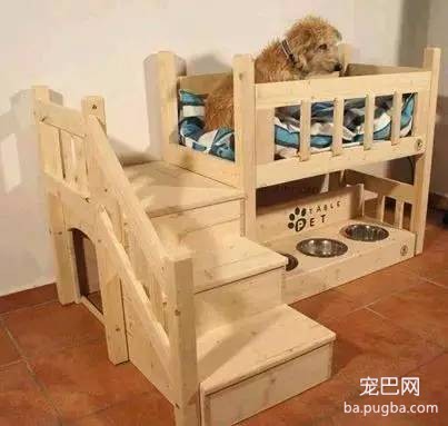人们梦寐以求的房子，都让狗狗住进去了！-19.jpeg