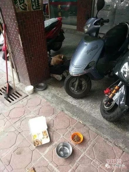 傻孩子坚守马路五年，只为等待当初抛弃你的那个人，值得吗？-3.jpeg