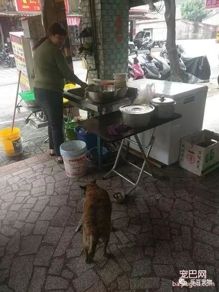 傻孩子坚守马路五年，只为等待当初抛弃你的那个人，值得吗？-6.jpeg