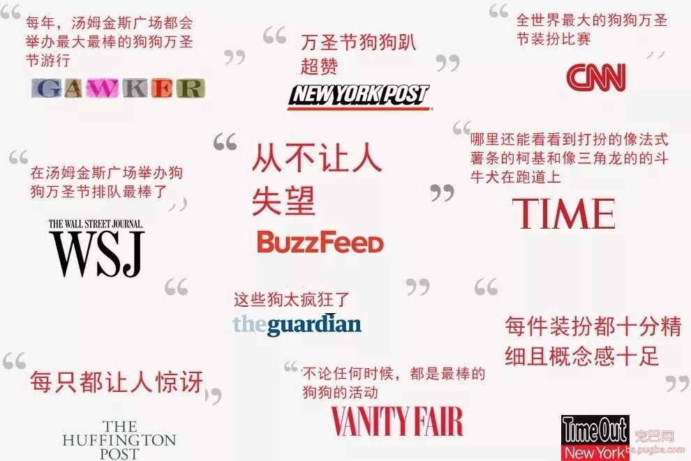 戴个面具就过了万圣节？这些狗狗远超你的想象-3.jpeg