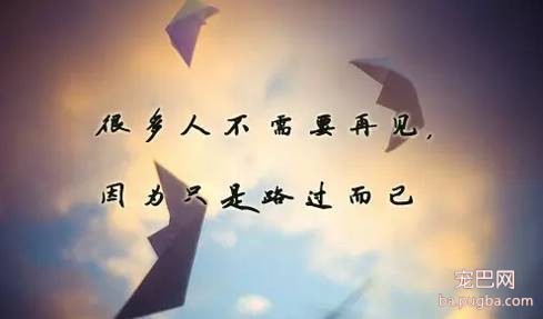 在吗？好想和你聊几句心里话！-3.jpeg