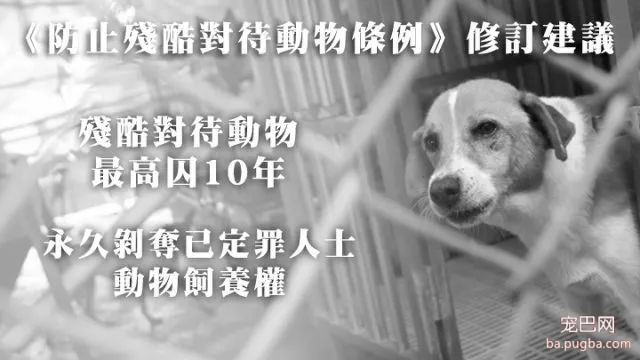监禁10年，罚款200万，这里即将出台的最严动保法-1.jpeg