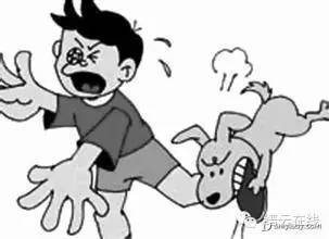帅哥4天时间被狗咬两次，这些常识你一定要知道！-3.jpeg