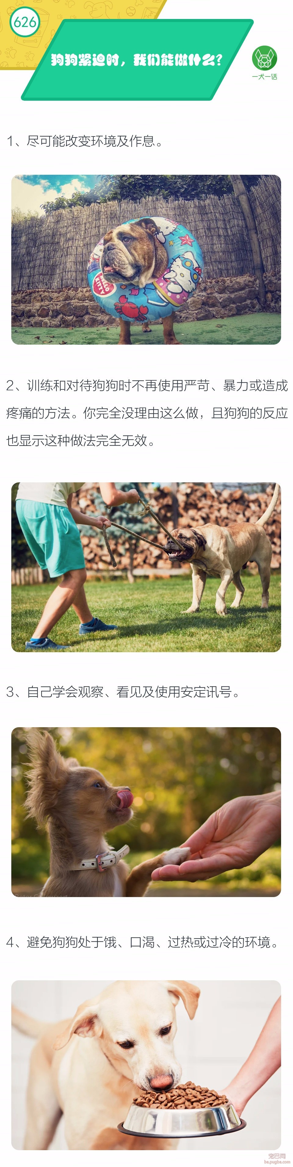 狗狗紧迫时，我们能做什么？-1.jpeg