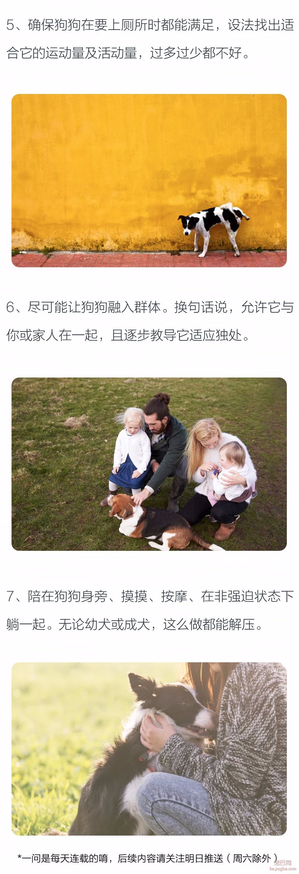狗狗紧迫时，我们能做什么？-2.jpeg