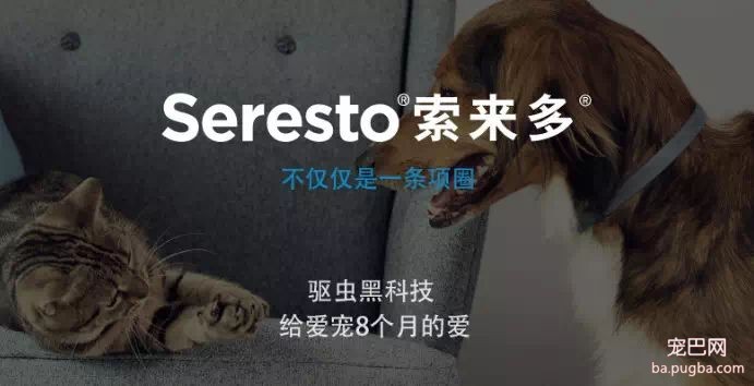 ​狗狗遭蜱虫叮咬应该用火烧？这才是正确的办法。-9.jpeg