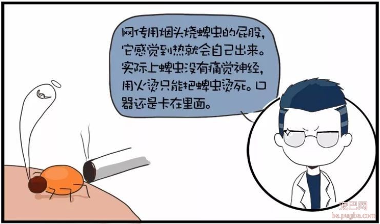 ​狗狗遭蜱虫叮咬应该用火烧？这才是正确的办法。-6.jpeg