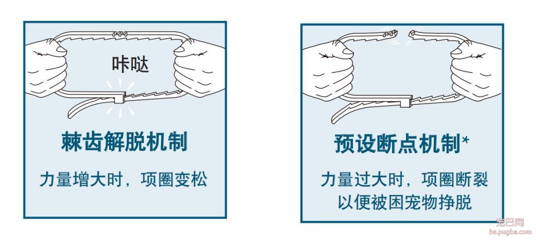 ​狗狗遭蜱虫叮咬应该用火烧？这才是正确的办法。-14.jpeg