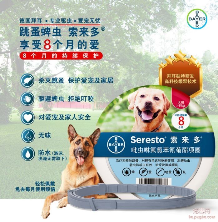 ​狗狗遭蜱虫叮咬应该用火烧？这才是正确的办法。-15.jpeg