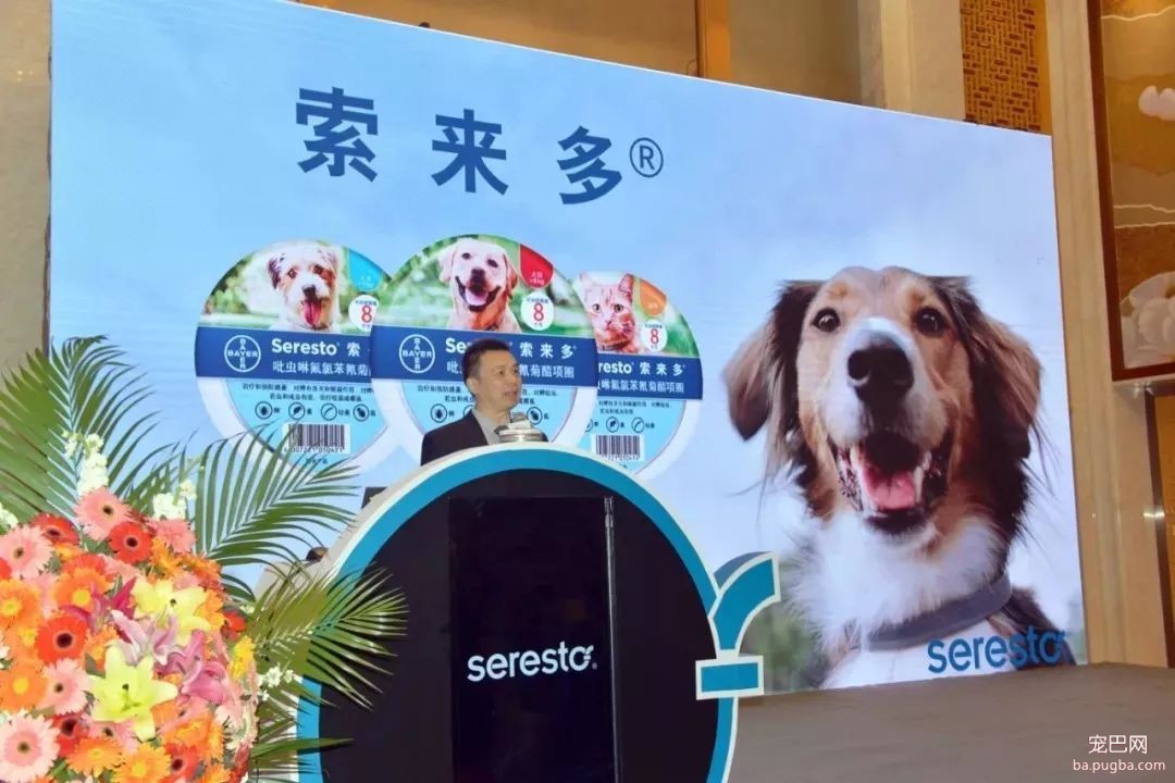 ​狗狗遭蜱虫叮咬应该用火烧？这才是正确的办法。-16.jpeg